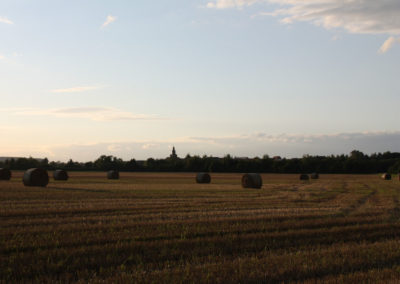 Berstadt lebenswert