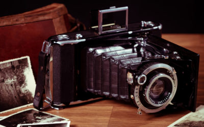 Neue Bilder in der Galerie