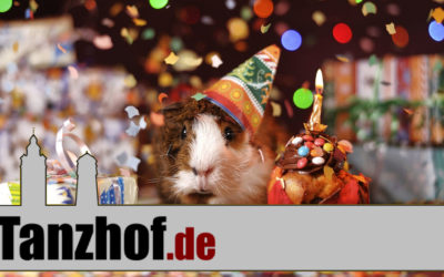 Happy Birthday, Tanzhof.de!!!